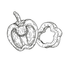 Vector hand drawn sweet peppers. Natural eco food engraved vintage style illustration. Design farm market product.