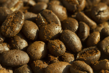 Fototapeta na wymiar Coffee beans with ground coffee on it, background horizontal