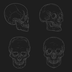 Set of hand drawn skulls in vintage retro style isolate on black background. Vector illustration.
