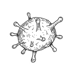 Form virus, cell, bacteria or microbe in hand drawn vintage style. Retro vector illustration isolated on white background.