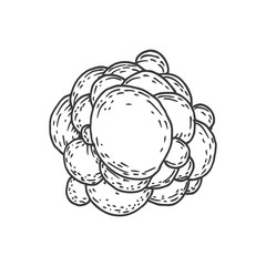 Form virus, cell, bacteria or microbe in hand drawn vintage style. Retro vector illustration isolated on white background.