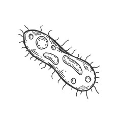 Form virus, cell, bacteria or microbe in hand drawn vintage style. Retro vector illustration isolated on white background.