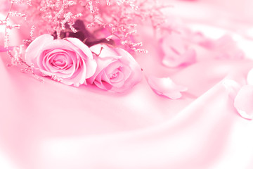 soft sweet rose flowers for love romance or wedding background