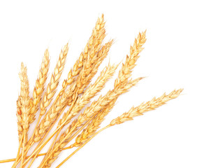 wheat ears