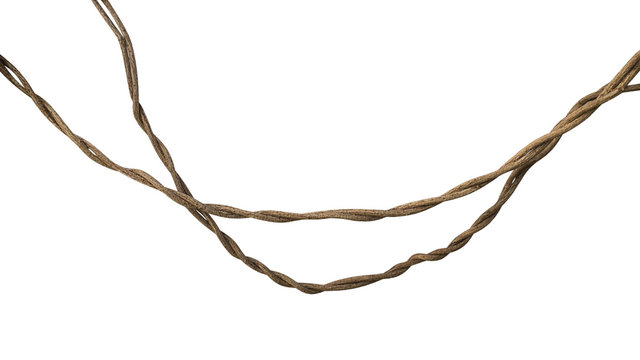 Twisted wild liana jungle vine isolated on white background, clipping path included