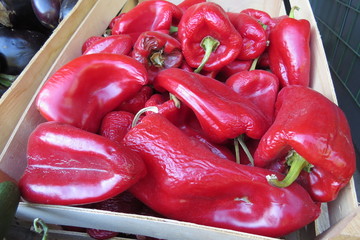 Red bell pepper (red Bulgarian pepper) at the market in Bar-city, Montenegro