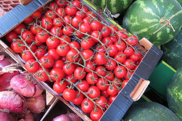 Fresh tomatoes at the market in Bar-city, Montenegro