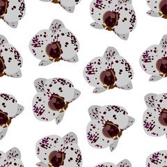 Vector seamless floral pattern. Exotic orchids. Amazing vector editable elements for design, fashion, stationery.