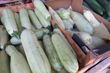 Zucchini at the market in Bar-city, Montenegro