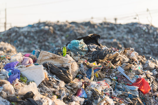 landfill site