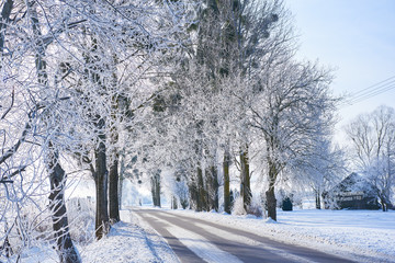 Droga w zimie i szronie © barytek