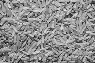 rice grain on top view in black and white tone