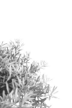 halftone dot graphic of black and white plants