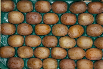 Kiwifrüchte, Kiwi, (Actinidia deliciosa), Palette