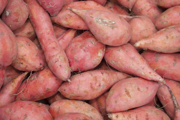 Süßkartoffeln, (Ipomoea batatas)