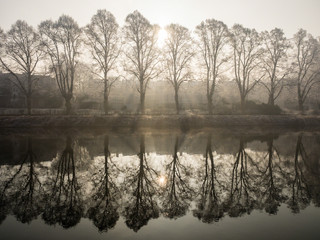 Spiegelung einer Baumreihe am Isarkanal im Gegenlicht, englischer Garten, München