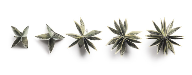 flowers origami banknotes