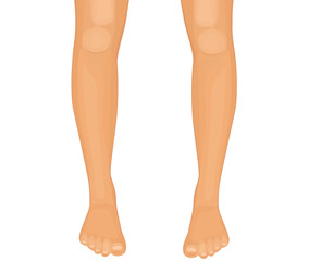 Human legs vector illustration on white background
