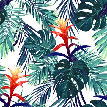 Fototapeta Ręcznie rysowany wzór - kwiaty guzmania, monstera i liście palmowe na białym tle
