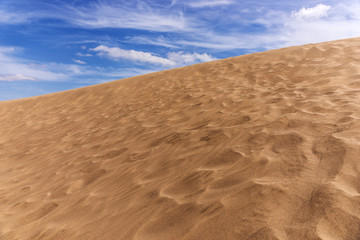 Fototapeta na wymiar Desert dunes sand in Maspalomas Gran Canaria