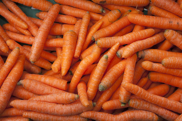 Karotten, Möhren, Wurzeln, (Daucus carota),