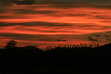 dramatic colorful red sky and cloud at sunset time over tropical forest.