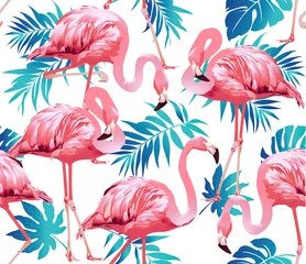 Fotobehang Flamingo Flamingo vogel en tropische bloemen achtergrond - naadloze patroon vector