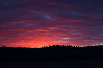 Farbenfroher Sonnenaufgang in der Wulmstorfer Heide
Colourful sunrise at the Wulmstorfer heathland