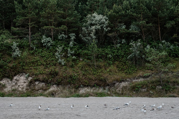 Polish coast