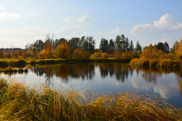 Fototapeta premium autumn 