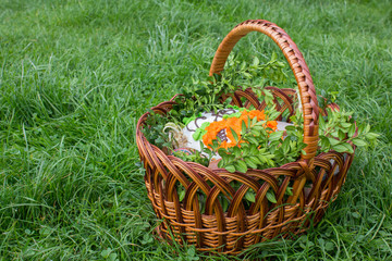 Fototapeta na wymiar Easter basket on the grass