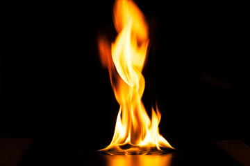Fototapeta premium Burning fire flame on black background