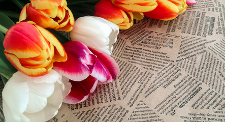 Tulips flowers bunch on Vintage newspaper background
