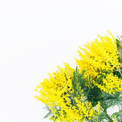 Floral frame with yellow mimosa on white background. Flat lay, Top view. Floral background