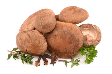 mushrooms with herbs