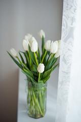 белые тюльпаны в вазе