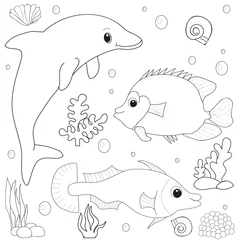 Badezimmer Foto Rückwand Dolphin fish underwater world book coloring isolated outline © zolotons