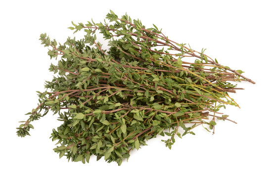 thyme on a white background