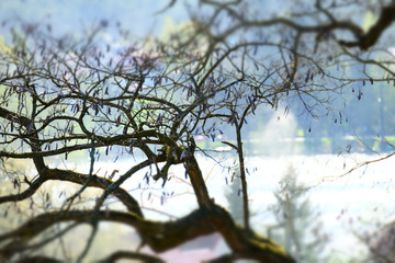 Landscapes
