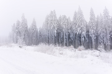 Obraz na płótnie Canvas sauerland in winter