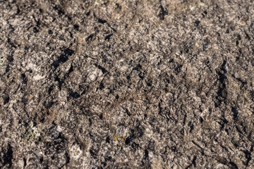 stone texture closeup
