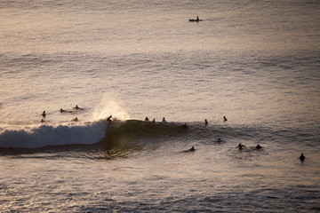 Surfers catch the evening waves in the ocean