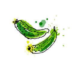 Cucumber, drawing by watercolor and ink with paint splashes on white background.