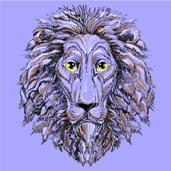 Head of a lion portrait , vector illustration on а blue background
