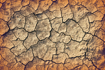 details of Dry cracked soil