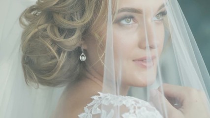 Beautiful bride behind the veil close-up - Powered by Adobe