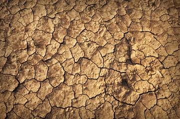 details of Dry cracked soil