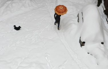 Cars covered snow, woman under umbrella, top view