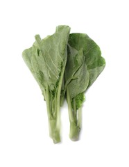Chinese kale fresh vegetable and drop of water leaves on white background