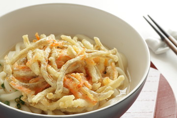 Burdock tempura and udon noodles